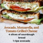 Avocado Mozzarella