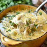 Keto Green Enchilada Chicken Soup