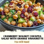Cranberry Walnut Chickpea Salad with Orange Vinaigrette