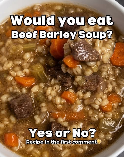 Air Fryer Beef & Barley Soup