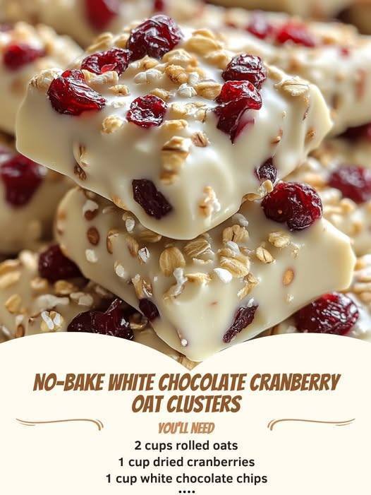 No-Bake White Chocolate Cranberry Oat Clusters (WW-Style)